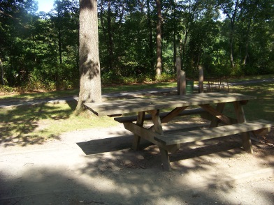 wheel chair accessible picnic table