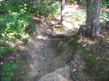 short rugged trail in pond meadow park