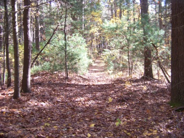 trail in pudding hill reservation