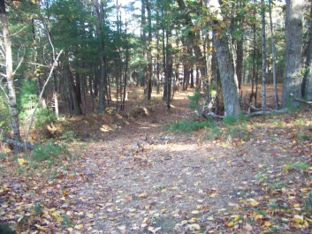 connector trail at pudding hill in marshfield