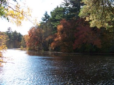 chandler pond at pudding hill