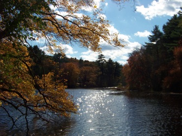 chandler mill pond at pudding hill