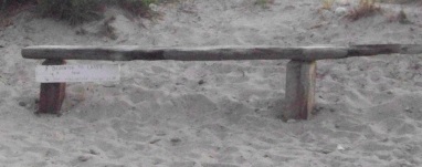 bench at rexhame beach along the south river courtesy of M.C.C