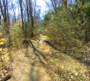 Trail over a stream forms a bit of a mogul.