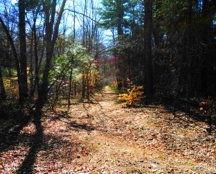 Rockland Fireworks Trail heads further into Rockland after the loop turn.