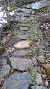 built up stepping stone trail in rockland town forest
