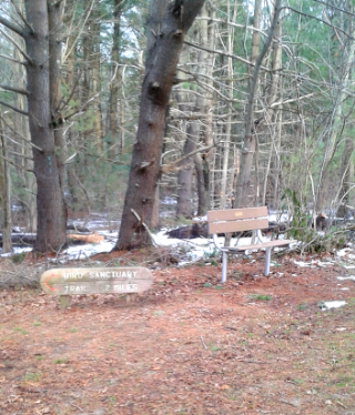 newer bench near the front of the Rockland Town Forest