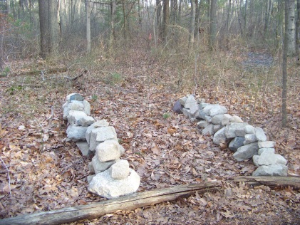 start of a new trail in Rockland Town Forest