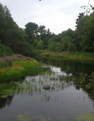 view of the Indian Head River from the Robert Hammond Memorial Bridge