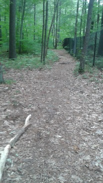 cart path along a fence at rocky run conservation