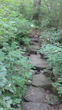 stepping stone path over rocky run stream