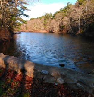 View of Russell Pond from the small causeway between this and Sawmill Pond.