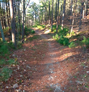 Sandy uphill trail at Russell and Sawmill Pond Conservation Area.