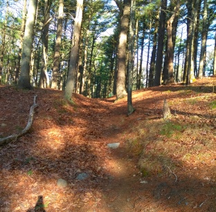 Inviting uphill side trail at Russell and Sawmill Pond conservation area.