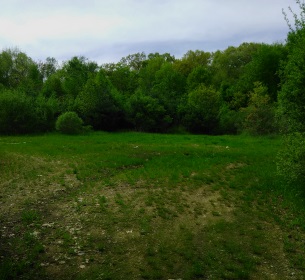 Small clearing on the trail before the forest.