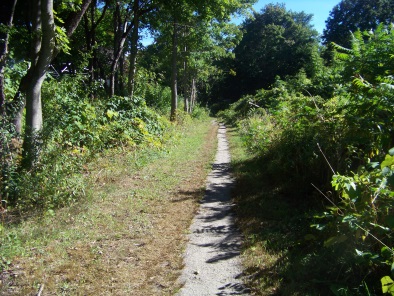 small portion of sea side trail continues to water st.