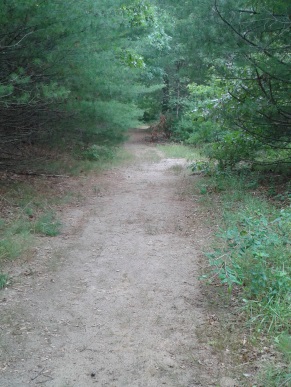 Sandy trail leading down to silver lake at it's sanctuary