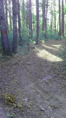 A red blazed trail at Silver Lake Sanctuary.
