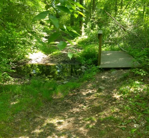 Small bridge helps in spring when streams run high.
