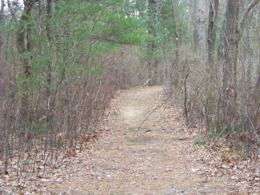 long trail back to start of fireworks trail