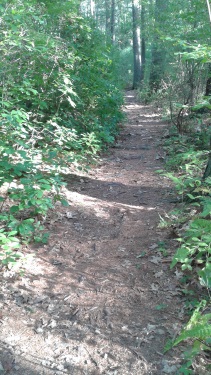 second hiking trail onto blueberry island