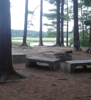 campsite on blueberry island at stetson meadows in Marshfield