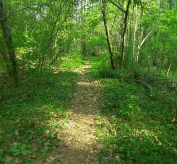 Trail leading to Randall/Hilliard Preserve