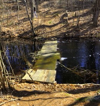 A rustic bridge crosses a tributary of Stump Brook. rustic bridge