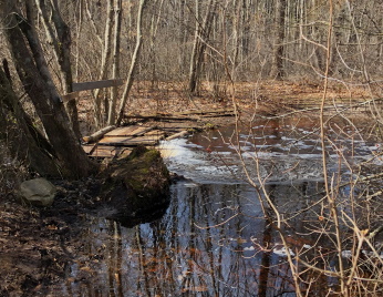 The second rustic bridge deeper into Stump Brook Sanctuary. stump brook 2nd rustic bridge