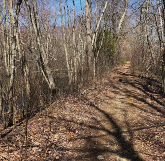 The hiking trail that runs along the northern side of Stump Brook on a loop through the area. Northern trail along stump brook.