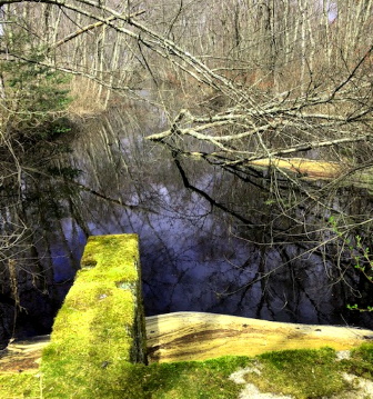 The view from the first culvert crossing over Stump Brook. view from sulvert over stump brook