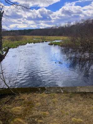 Stump Brook with the wetland pond it creates. Stump Brook Halifax
