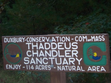 Thaddeus Chandler Sanctuary