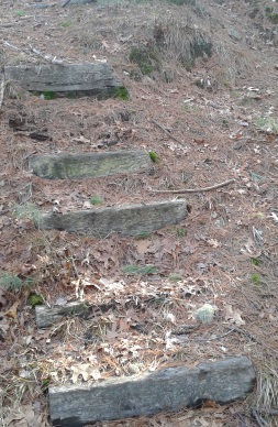 railroad tie steps the Bay Circuit Trail uses to exit Thaddeus Chandler Sanctuary