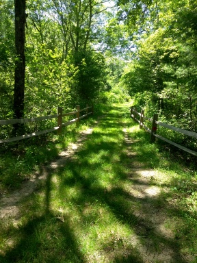 Country road hiking trail over a culvert on the Thompson Pond Trail in Abington.