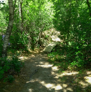 The hiking trail leads over a small bridge at Thompson Pond.