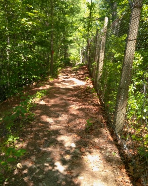 Hiking trail along a chain link fence.