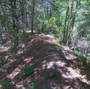 The hiking trail is directed along this narrow ridge in the forest.