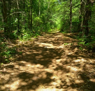 The hiking trail rejoins an older cart path near Thompson Pond.