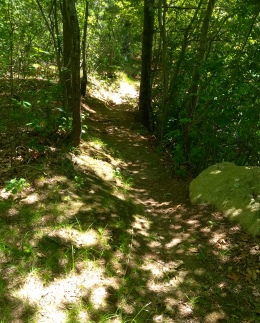 Narrow path leading along Thompson Pond.
