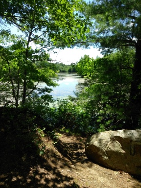 Thompson Pond in Abington