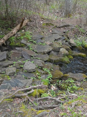 stepping stone bridge over Rocky Run Stream