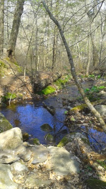 view of stream and continuing hiking trail