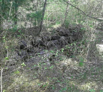 Dam structure on Indian Head River