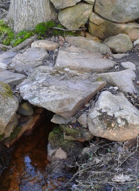 stone culvert on the hiking trail