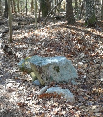 resting rock along a log lined hiking trail