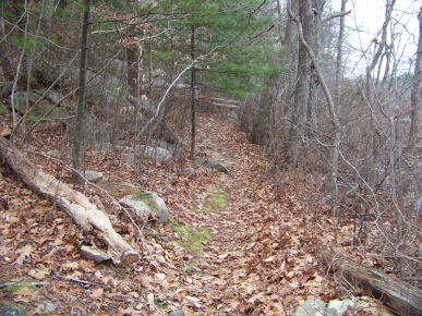 trail at triphammer pond in early winter