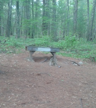 sturdy resting area at tuckers preserve