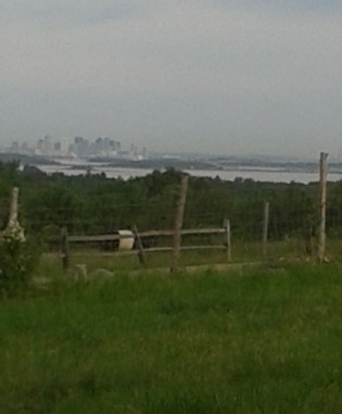 view of Boston and it's harbor from Turkey Hill
