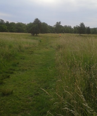 heading through the meadow on turkey hill heading through the meadow on turkey hill